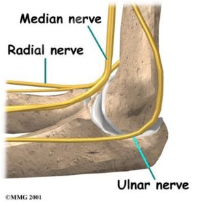 NEUROPATHIES - Pass The OT