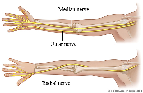 Ulnar Nerve, Clinical Examination - Everything You Need To Know - Dr. Nabil  Ebraheim 