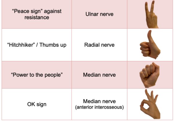 NEUROPATHIES - Pass The OT