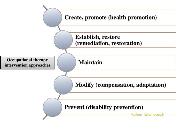 Occupational Therapy Process And The Four Levels Of Intervention Free 