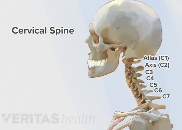 SPINAL CORD INJURY (SI) Free Trial - Pass The OT