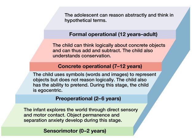 Childhood Occupations and Milestones updated Dec 2023 Pass The OT